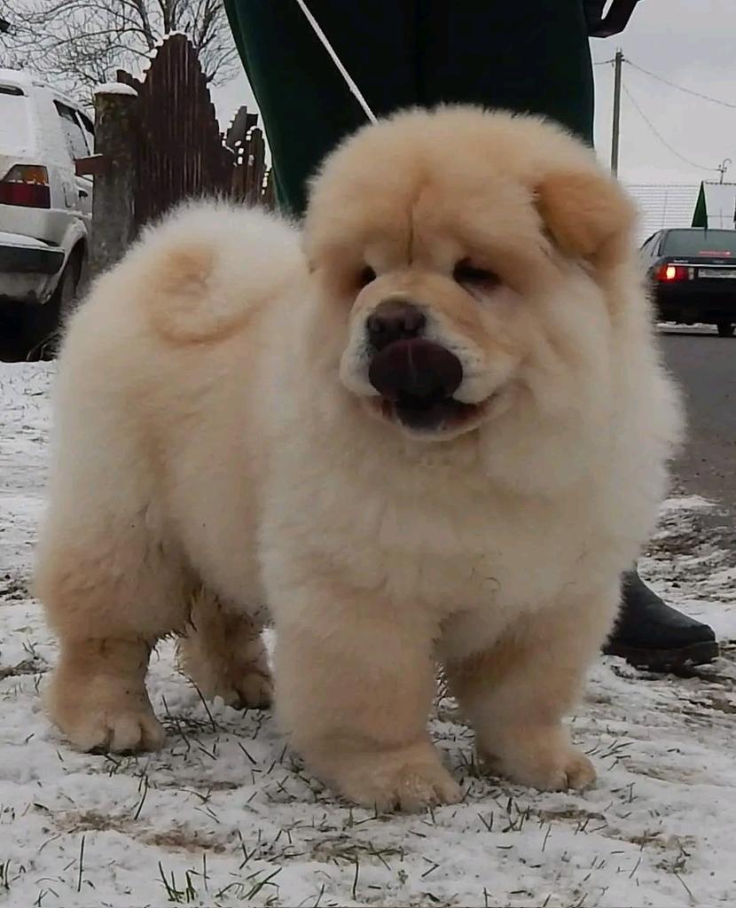 Mokom MlTA (@mltamokom) on Twitter photo 