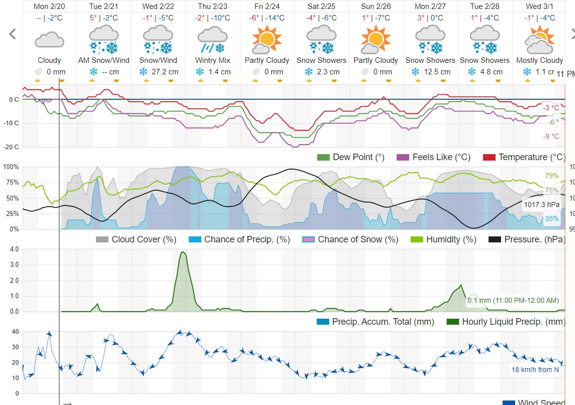 Fries Before Guys on Twitter "RT Gruesomebrat Hey, cityoftoronto, a