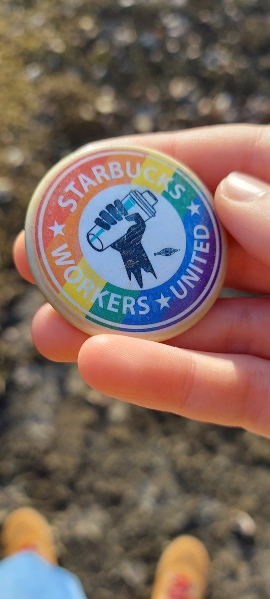 found this rusty, battered Starbucks Workers United pride pin on a beach 45 min outside Buffalo... is this what cultural hegemony feels like?