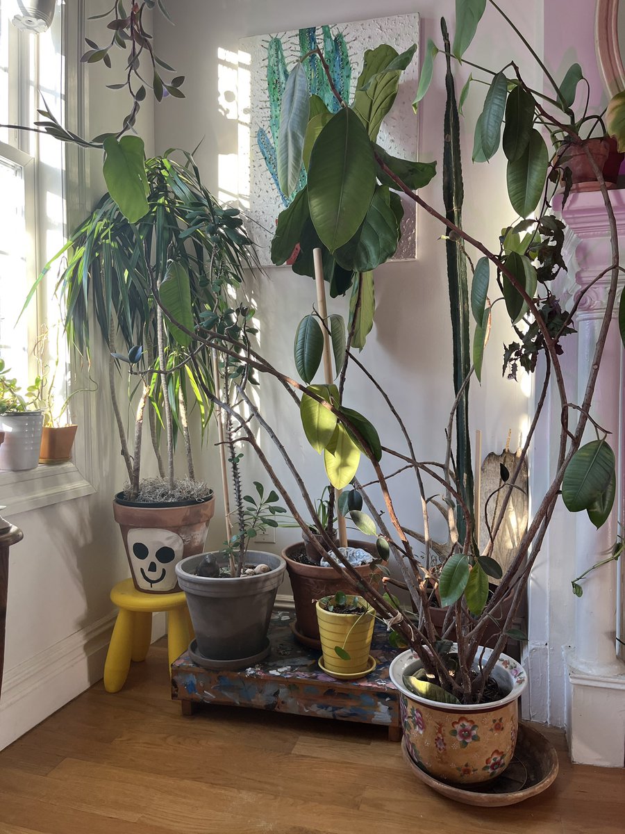 Maybe: Emilia 🇵🇸 tweet media