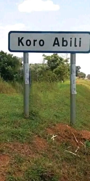 OnguruMeister's tweet photo. #RoadTrip
Nothing like a drive through #Luoland...
@Thriving_luos https://t.co/b69Lf3SgFw