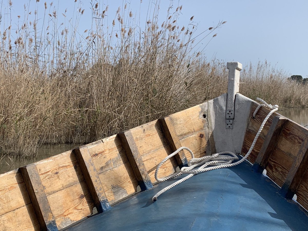 Boat ride in La Albufera, Valencia Spain.