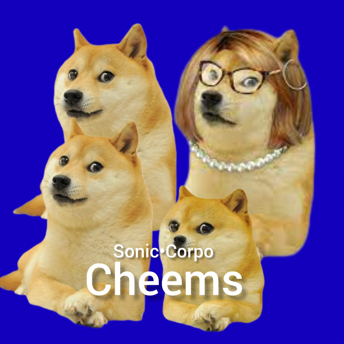 SonicStudios0's tweet photo. Los cheems vuelven con su nueva pelicula https://t.co/8ZORuNekUg