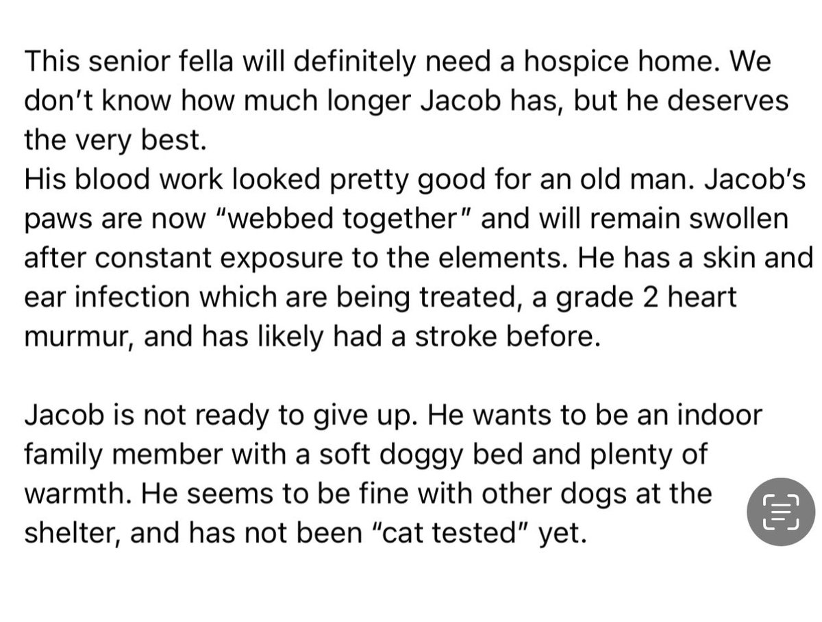 Pals!!!
I know it’s a long shot but anyone looking to foster a senior boy? 
We’d really love to help Jacob. 
Shelter said his “owner” literally brought him in on a chain on his way to the dump w/his garbage. Pls read his story.
NC, SC, GA, VA or WI frens…have room for Jacob?💔