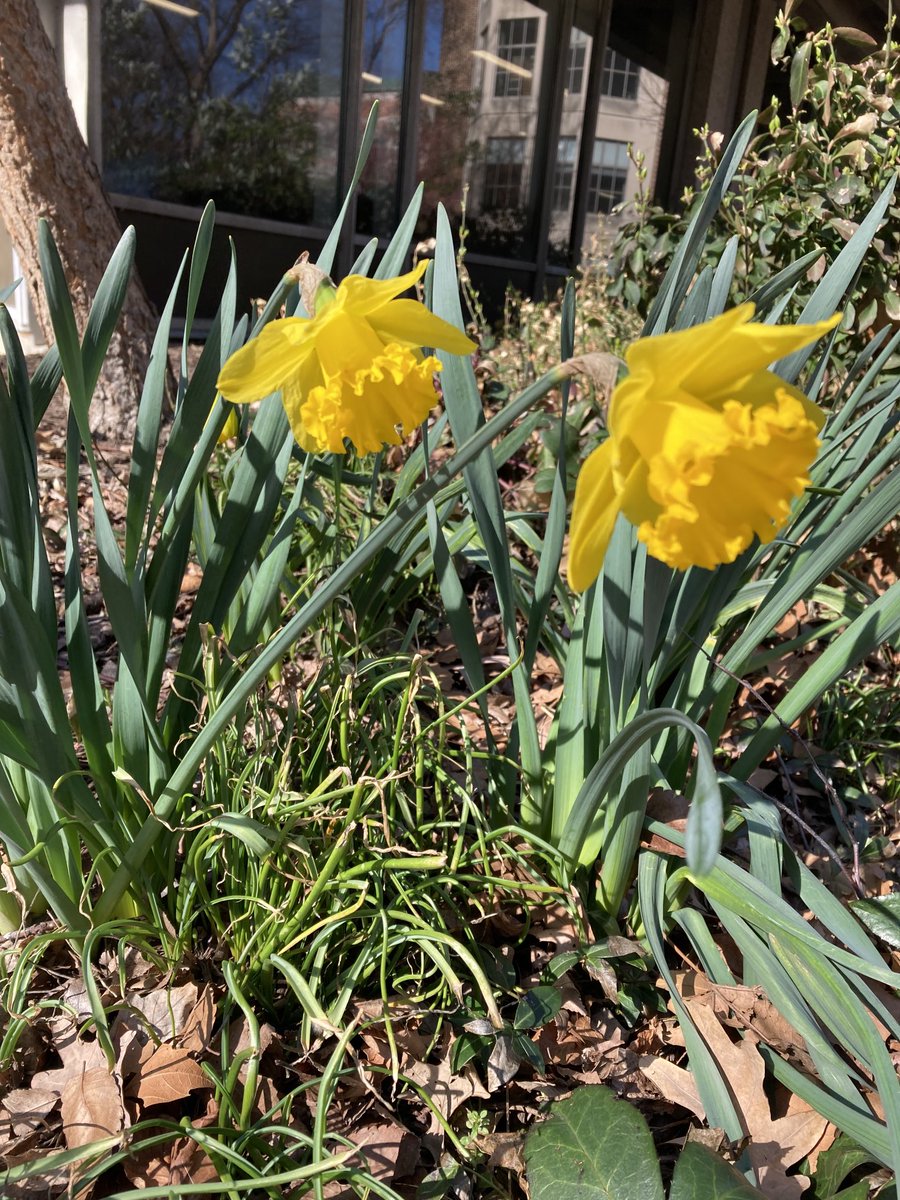 Beth Picknally Camden tweet media