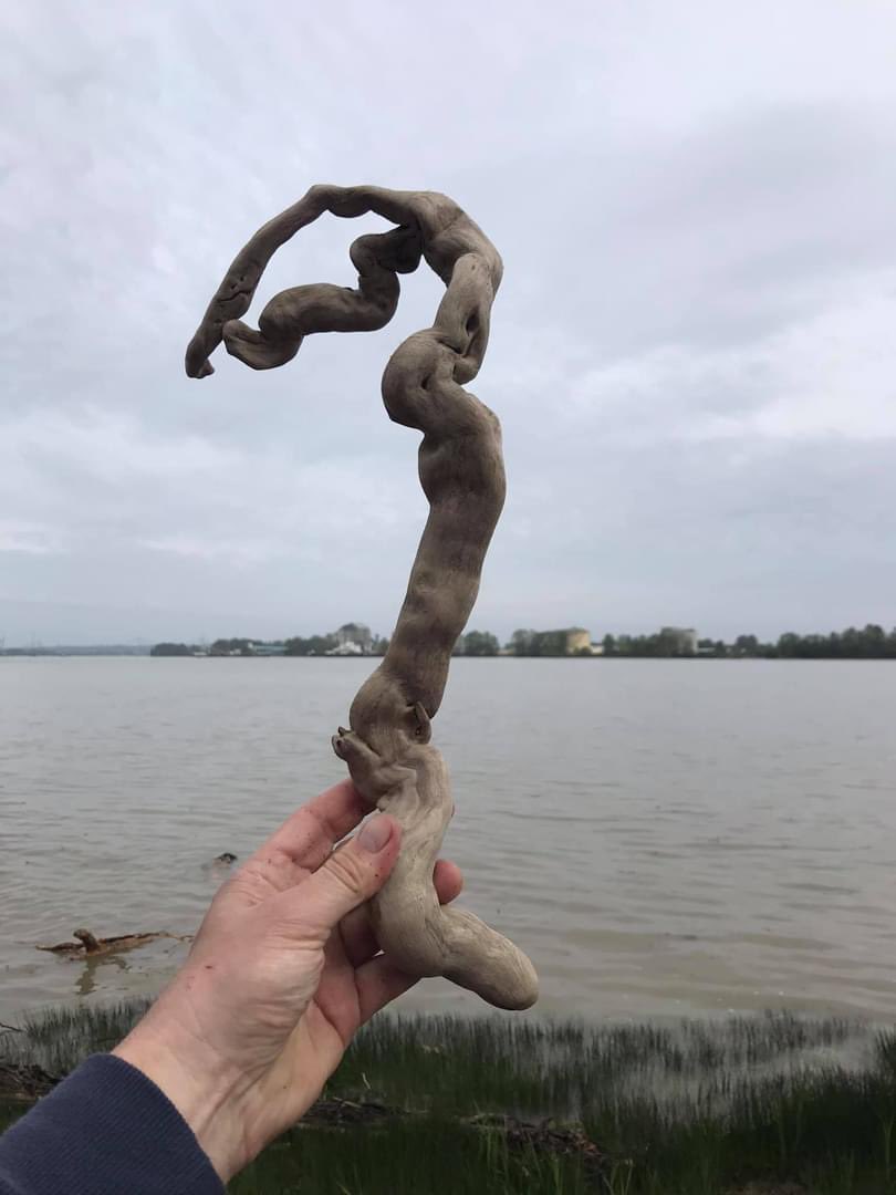 FraserRiverFind's tweet photo. What do I mean by potential “art supplies” when I photograph much of the stuff I collect?
#fraserriverfinds
#savethefraser #driftwood
#fraserriverart #junkart https://t.co/4NVuMjmXiz