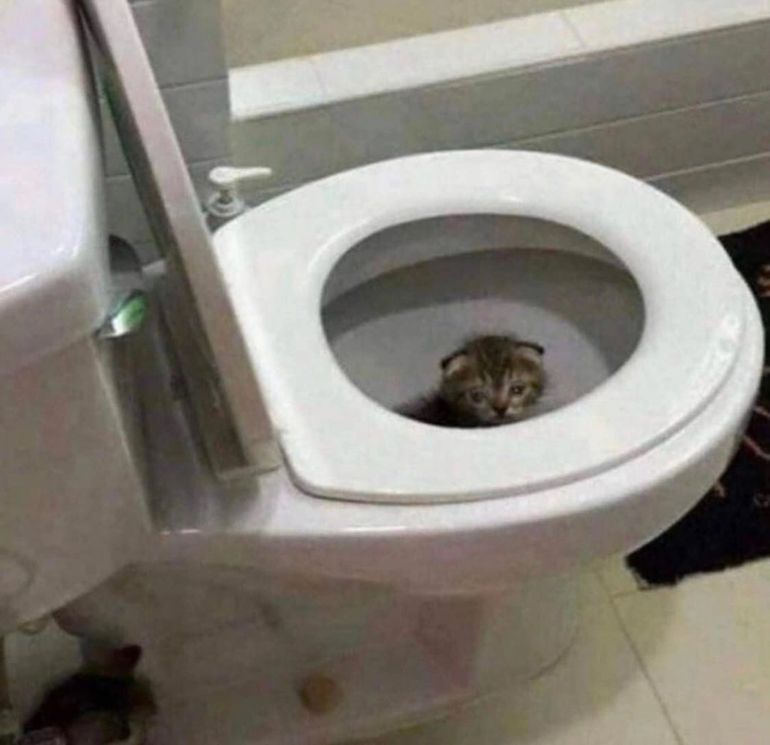 Любой собес би лайк