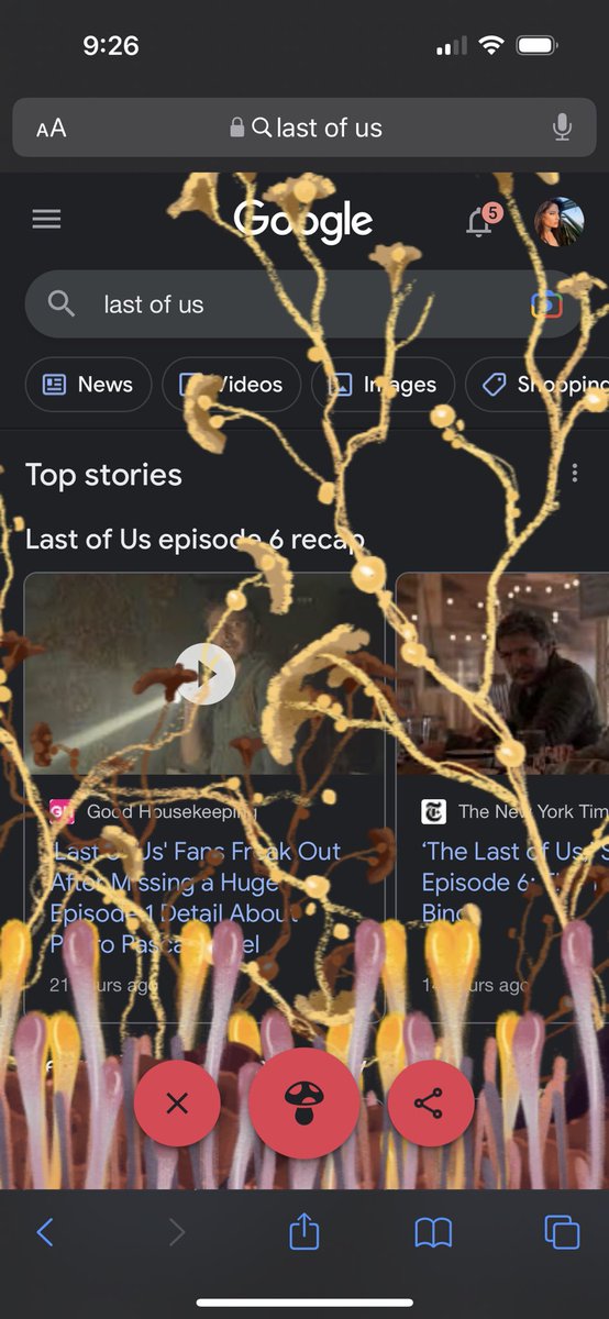 ColbyLKline's tweet photo. When you google #TheLastOfUs #LastOfUsHBO this happens? Or maybe I’m just infected now 🧟‍♀️ https://t.co/FOYuGq0KwJ