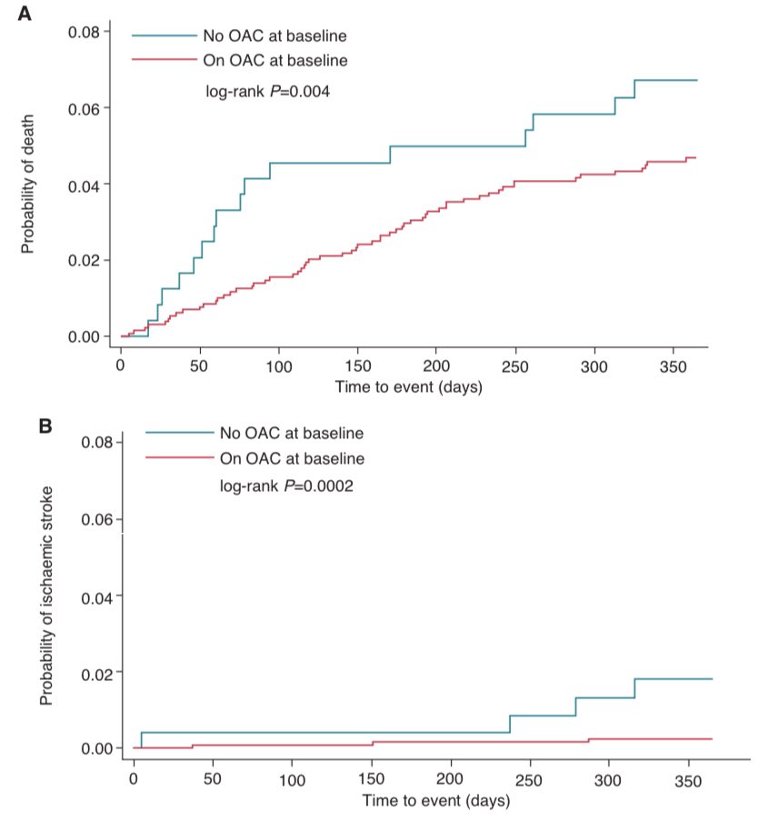 ⚠️ Contemporary management of atrial fibrillation in primary and secondary care in the UK‼️

✅  Long-term AF-GEN-UK Registry‼️

<a href="/secardiologia/">Soc Esp Cardiología</a> <a href="/clinica_sec/">Asociación Cardiología Clínica SEC</a> <a href="/GTrombosis/">GTrombosisCVSEC</a> <a href="/SACardiologia/">SACardiología</a> <a href="/ritmo_SEC/">Asociación del Ritmo Cardiaco</a> <a href="/ESC_Journals/">European Society of Cardiology Journals</a> 

academic.oup.com/europace/artic…