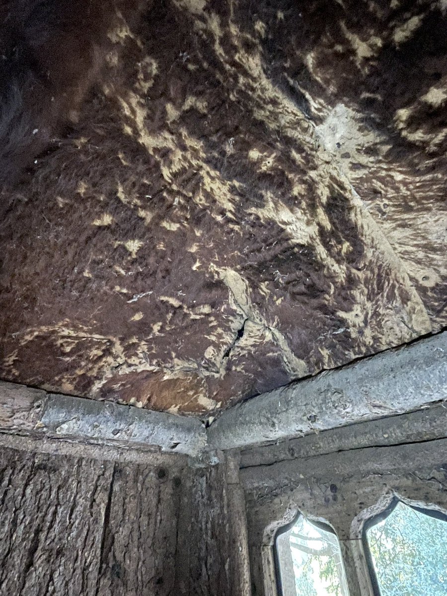 PureConserve's tweet image. I’ve been lucky to be working @NTKillerton for the last few days on that beautiful and unusual #deer #bone #floor, #shingles and deer #hide hangings. Tomorrow #training the #NTstaff