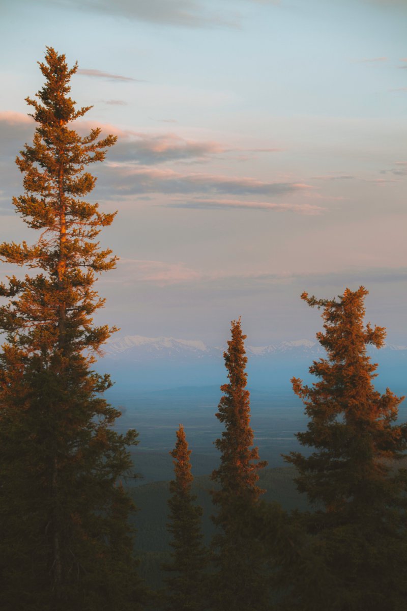 johncwingfield's tweet photo. Summer evenings in Alaska https://t.co/gQbVzSLit7