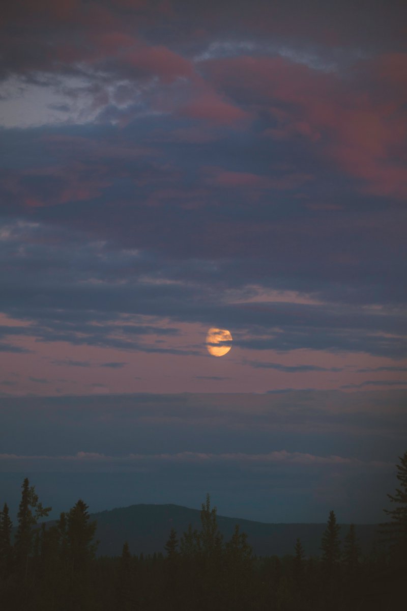 johncwingfield's tweet photo. Summer evenings in Alaska https://t.co/gQbVzSLit7