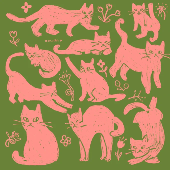 cat practice 