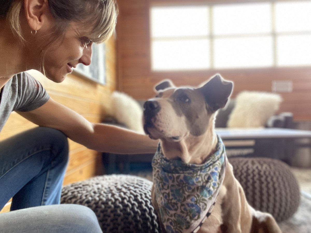 austinpetsalive's tweet photo. Girly loves her people! Join her inner circle today!
https://t.co/zGkGSZIlok https://t.co/wdwR4LfGt7