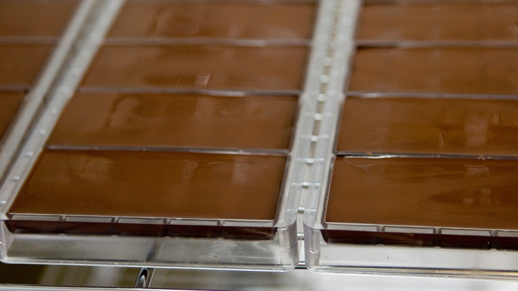 cococlectic's tweet photo. After the chocolate is tempered, chocolate makers at Fresco Chocolate pump it into molds to harden. Molding is the last step in the chocolate-making process.
#cococlectic #cacao #chocoholic https://t.co/KnXuhO58eE