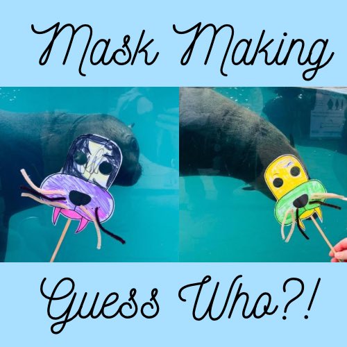 We also had a mask making competition 🎭🏆

#supersealsense #bbsrc #weareukri #manchestermet #pinnipeds #womaninscience #animalbehavior #whiskers #sensorybiology #science #zoology #rhylseaquarium #training #animaltrainer #animaltraining #marinemammaltrainer #marinemammals