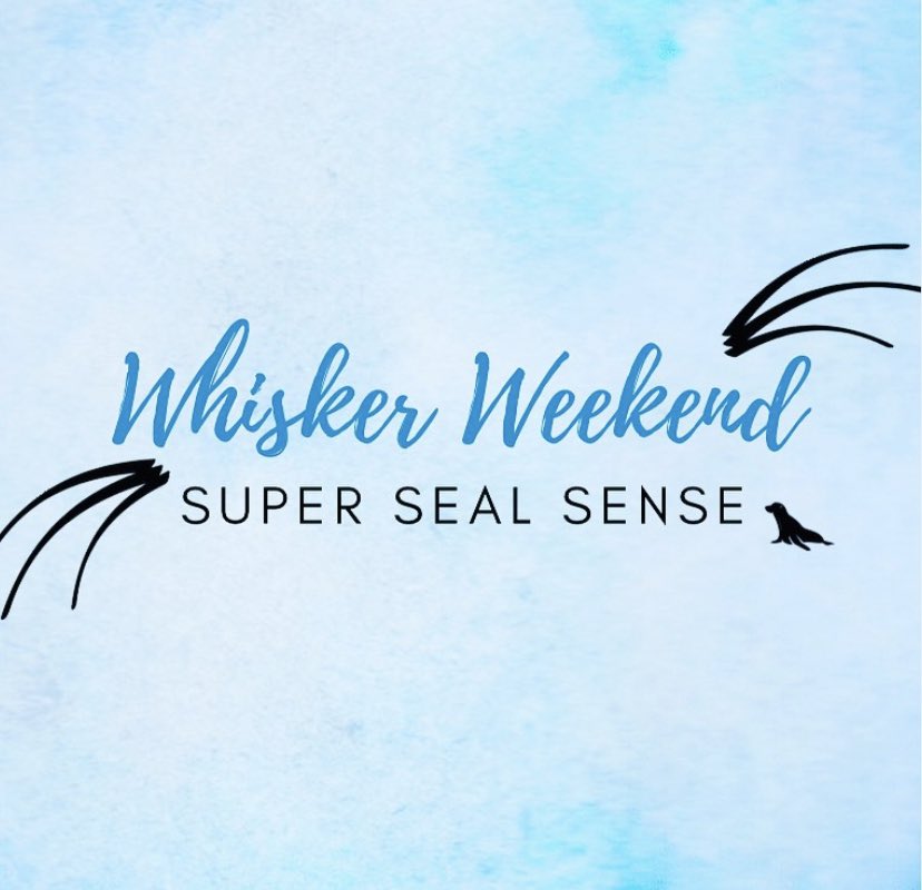 Wow what a whiskers weekend! 💙

#supersealsense #bbsrc #weareukri #manchestermet #pinnipeds #womaninscience #animalbehavior #whiskers #sensorybiology #science #zoology #rhylseaquarium #southafricanfurseal #harborseal #training #animaltrainer #animaltraining #marinemammals