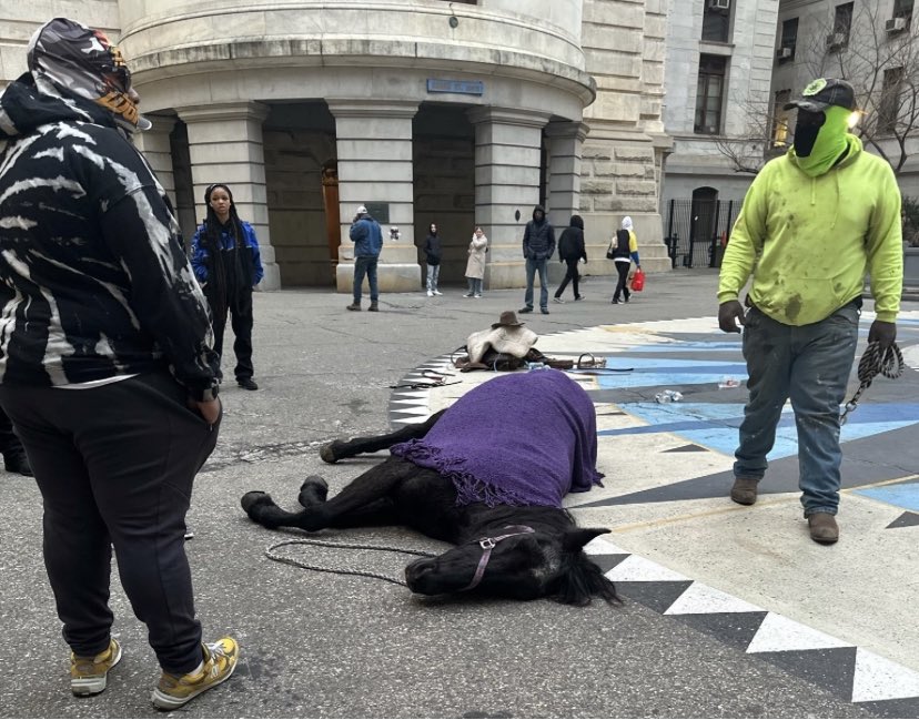 KeeleyFox29's tweet photo. Horse found abandoned, on it’s side, inside Philadelphia City Hall courtyard.   Strange 911 call  @PhillyPolice who arrived with @ACCTPhilly and found the horse alive, with no rider or owner in sight yesterday. 1/3 @FOX29philly https://t.co/rC5UgHhxxc
