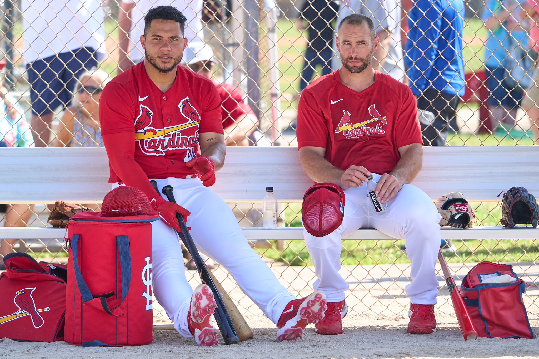 St. Louis Cardinals on X: First day of full squad workouts in the books 👏   / X