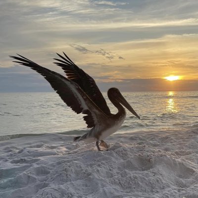 UtahFox's tweet image. #NewProfilePic