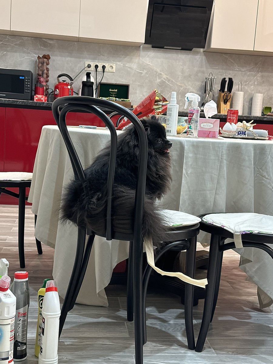 pashandrii's tweet photo. на самом деле я пришла сюда за знатным гейским контентом для зарисовки на др друга но еще акиру сюда забавные фотки бонни https://t.co/GaA1J7LAKK