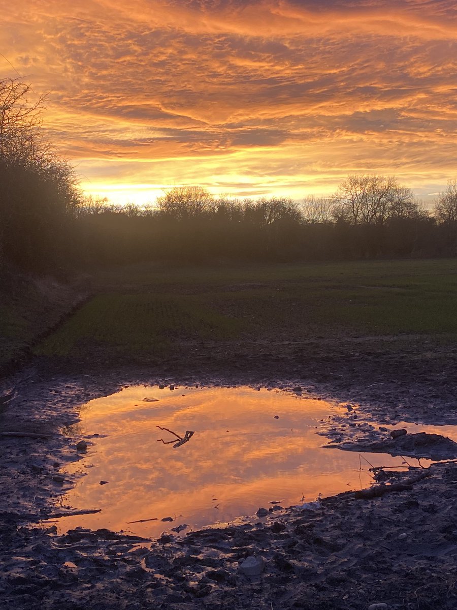 Sunset transformed Sunday’s evening walk with Artemis. The muddy puddle was transformed into something magical. #NHS1000miles <a href="/AngeKirkham/">Ange Kirkham</a> <a href="/stuartbatchelo1/">stuart batchelor</a>