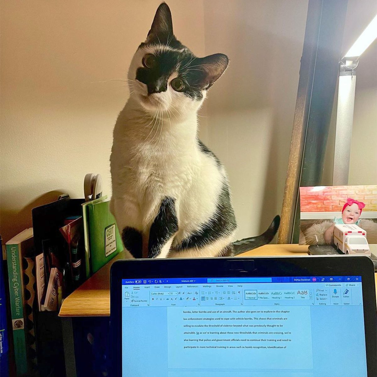 asuonline's tweet photo. Shout out to #ASUPet, Pep, and the pep (😉) this study buddy brings to this #SunDevil study space on a daily basis! 😻 Have a friend that sticks by your side as you #learnASUlive? Share their pics in the replies. #ASUOnline #LoveYourPetDay https://t.co/GwgU3kizgO