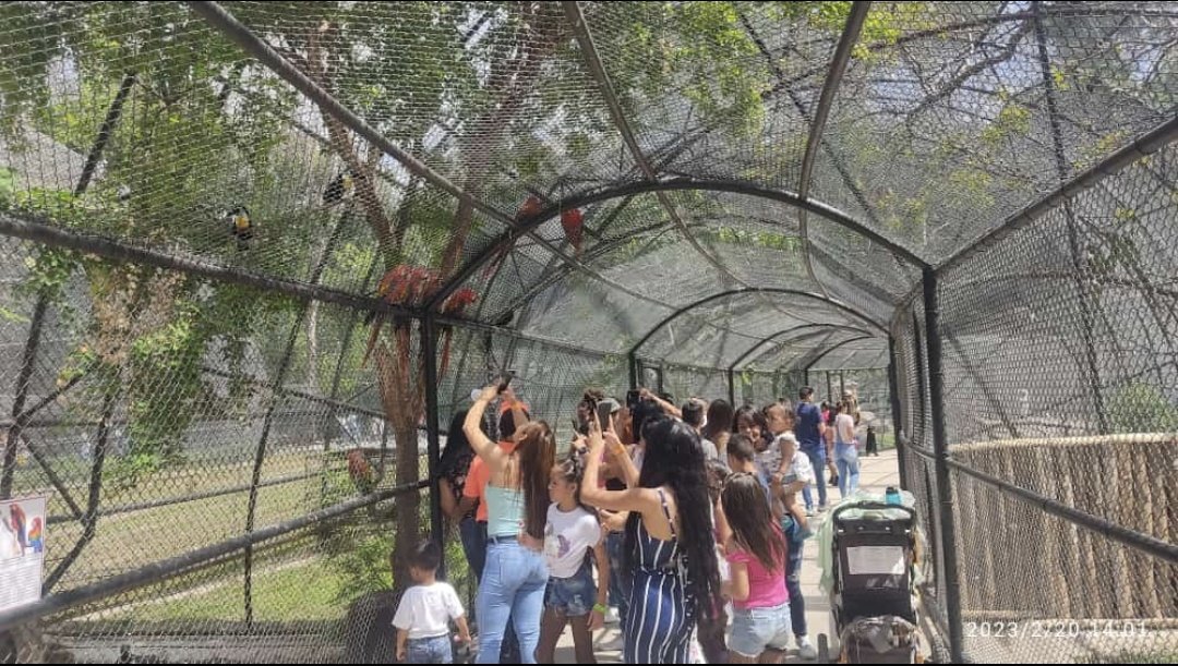 leoalvacabrera's tweet photo. #20Febrero 
Hoy estuvimos desplegados en una gran jornada de trabajo en el marco de los Carnavales Felices 2023 donde nuestro pueblo de Aragüeño disfruta de los sitios turísticos de Maracay. 
#FestivalDeCarnavales2023 
@_LaAvanzadora @Soykarinacarpio @MPPEDUCACION @ZE_Aragua https://t.co/Rnknoe08ok