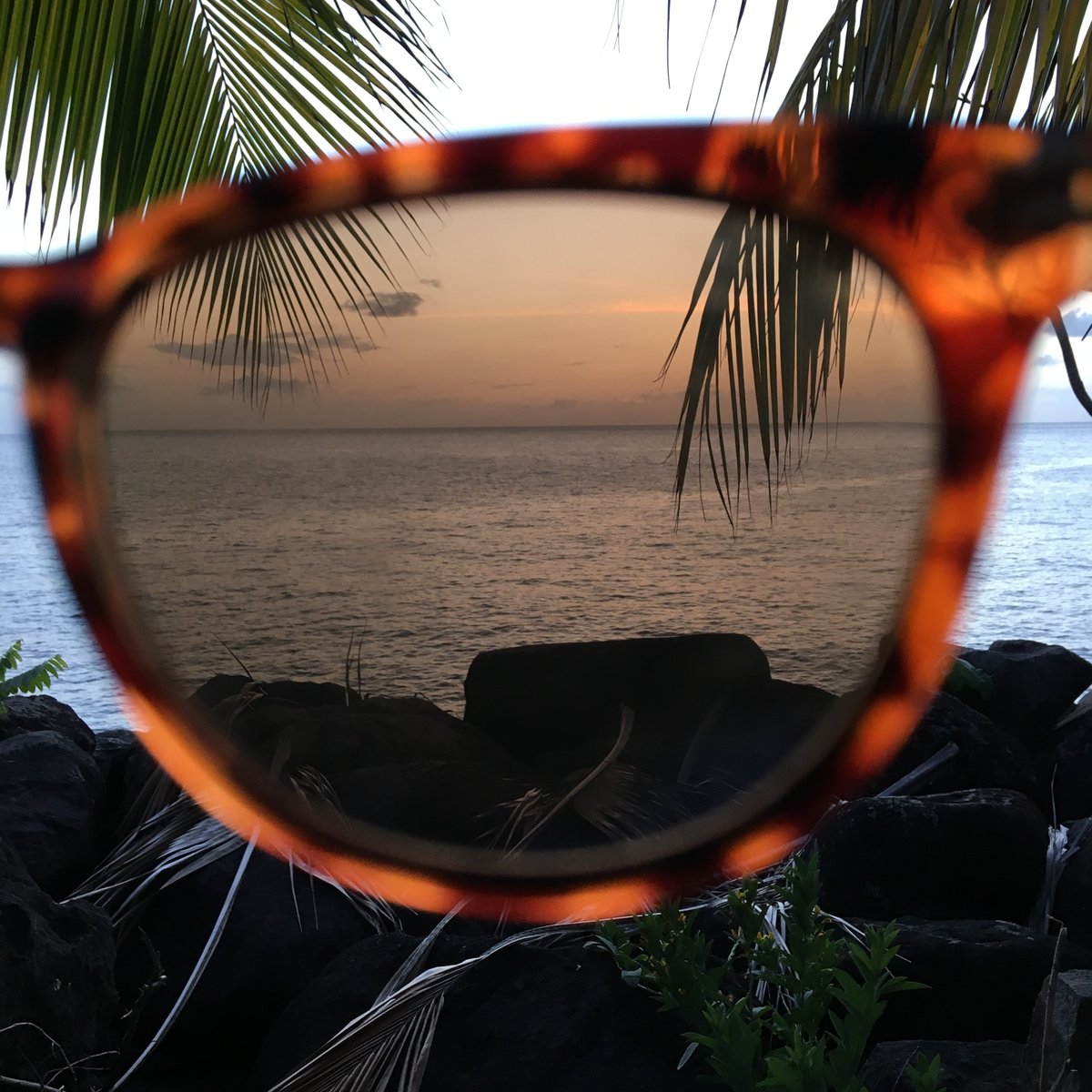 #MondayMood: the need for vitamin sea 🌊 is very easy to see 🕶. 

Make your Monday a little better by planning for the day you get to relax in your shades and listen to the sound of the waves. 😎

Visit flySBN.com to get started! 

#WhereToNext? 🤔 #GetThereWithSBN