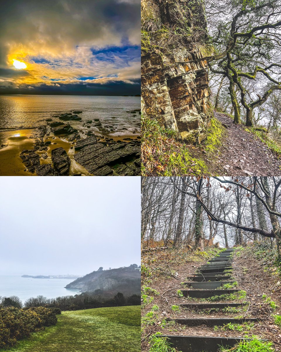 Running Punks tweet media