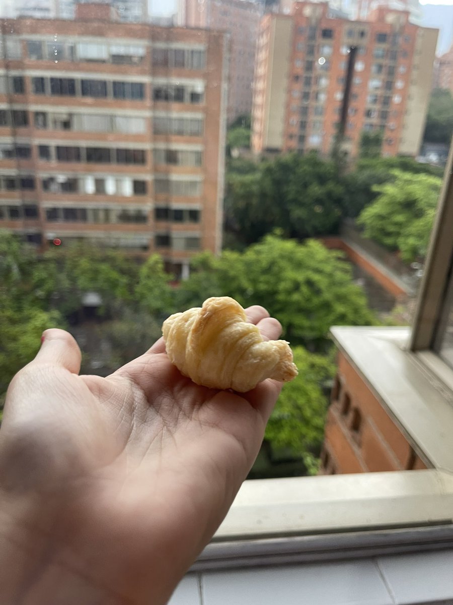 Cuason 🤌🏻
No sé si comerlo o cuidarlo