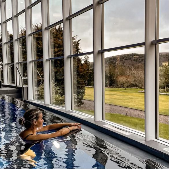 David Gray tweet media