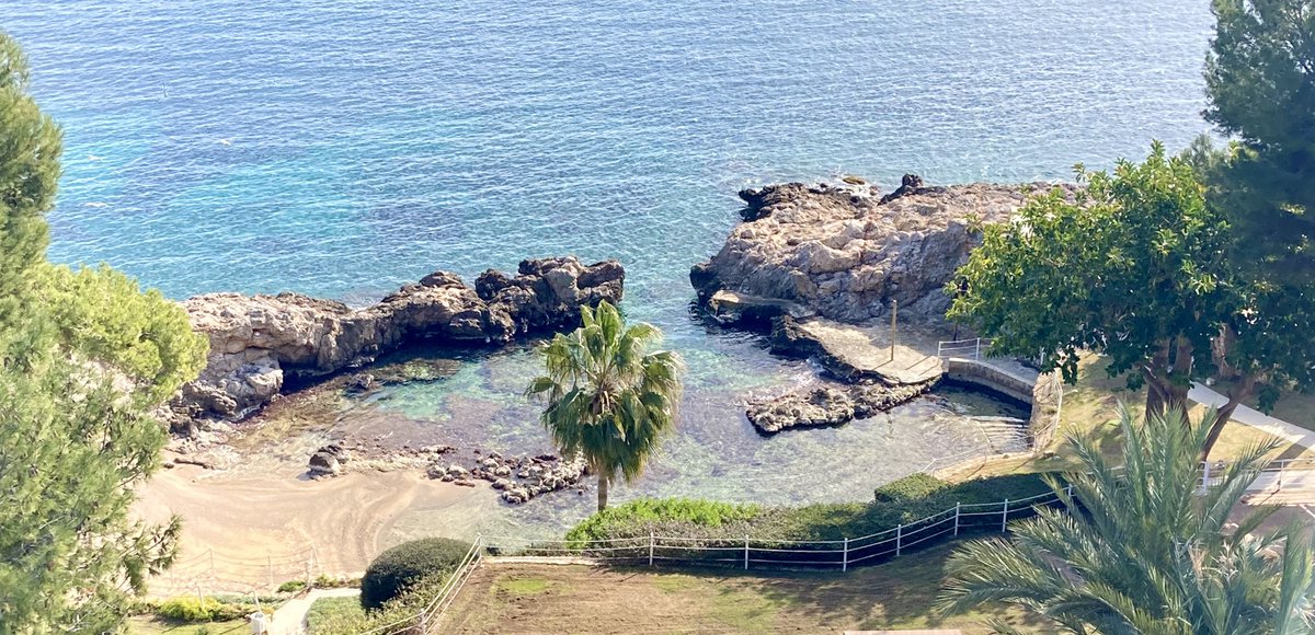 Jose Ramón RBorbolla tweet media