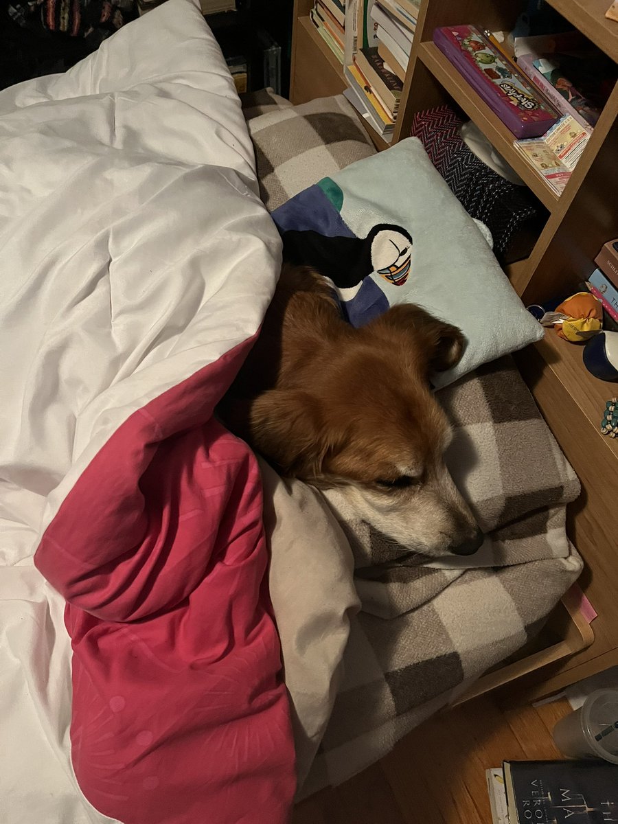 Sarah Wilbur tweet media