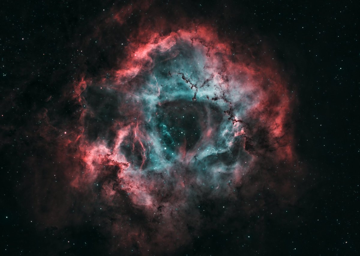 ROSETTE NEBULA 🏵️ 
Just captured a shot of the Rosette nebula! 📷 Check out my latest YouTube video to see how I made it happen. 🚀 youtu.be/4Jlri7hwsfo