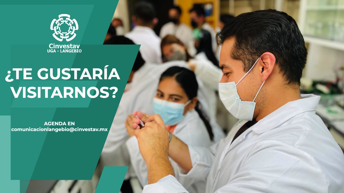 uga_langebio's tweet photo. 🔬¿Te gustaría traer a tu grupo de estudiantes a visitar alguno de los laboratorio de investigación de la @uga_langebio? 

📅¡Escríbenos para agendar fecha!

✉️comunicacionlangebio@cinvestav.mx

👋¡Les esperamos!👋 https://t.co/0KF3uYGhVK