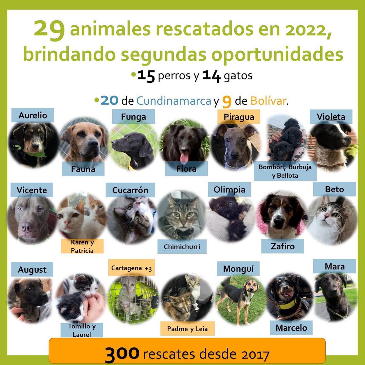 ArcaLuminosa tweet media