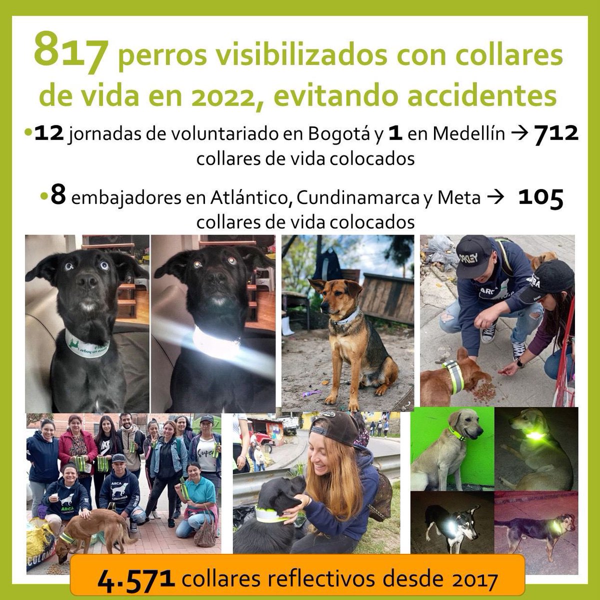 ArcaLuminosa tweet media