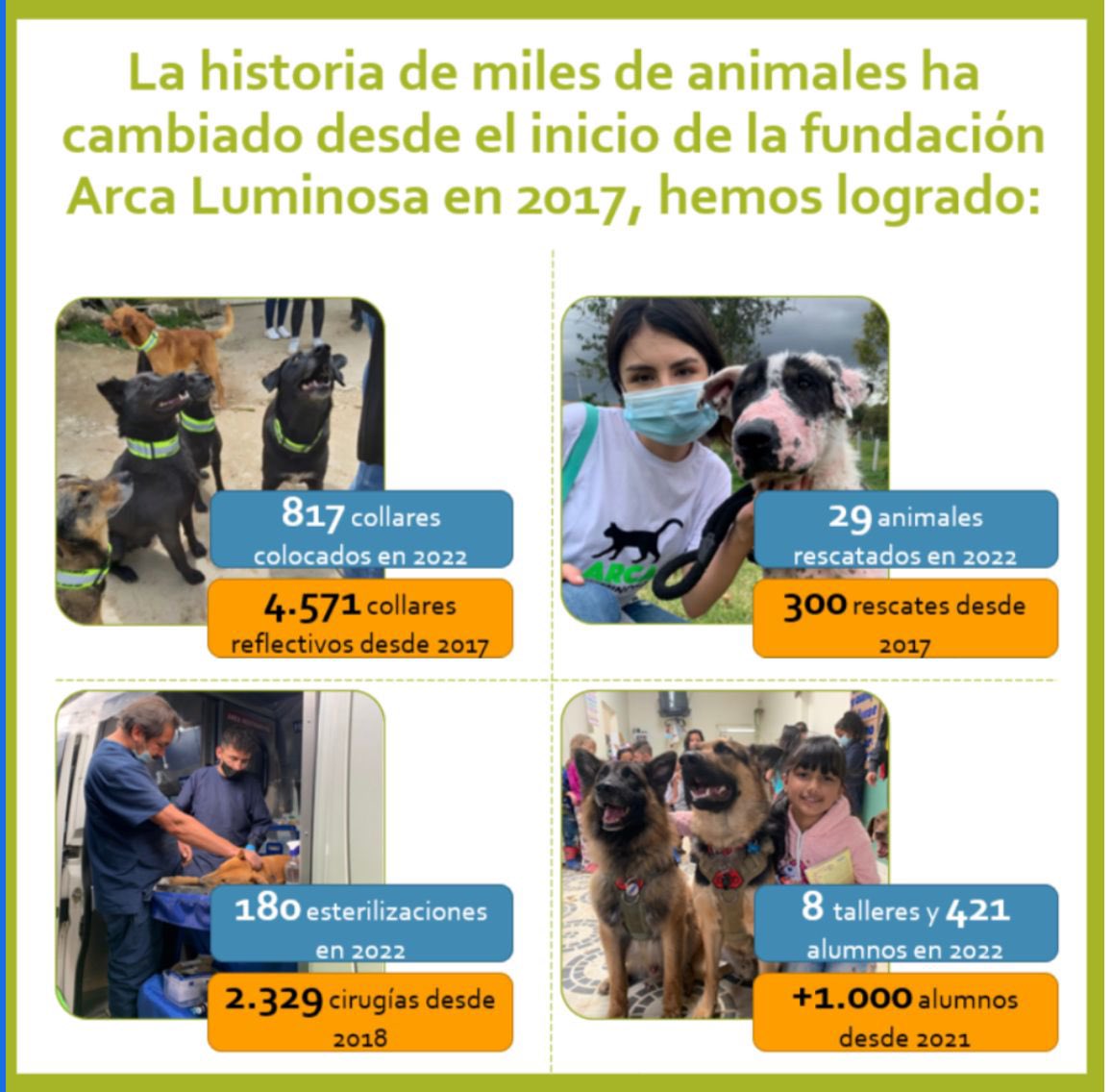 ArcaLuminosa tweet media