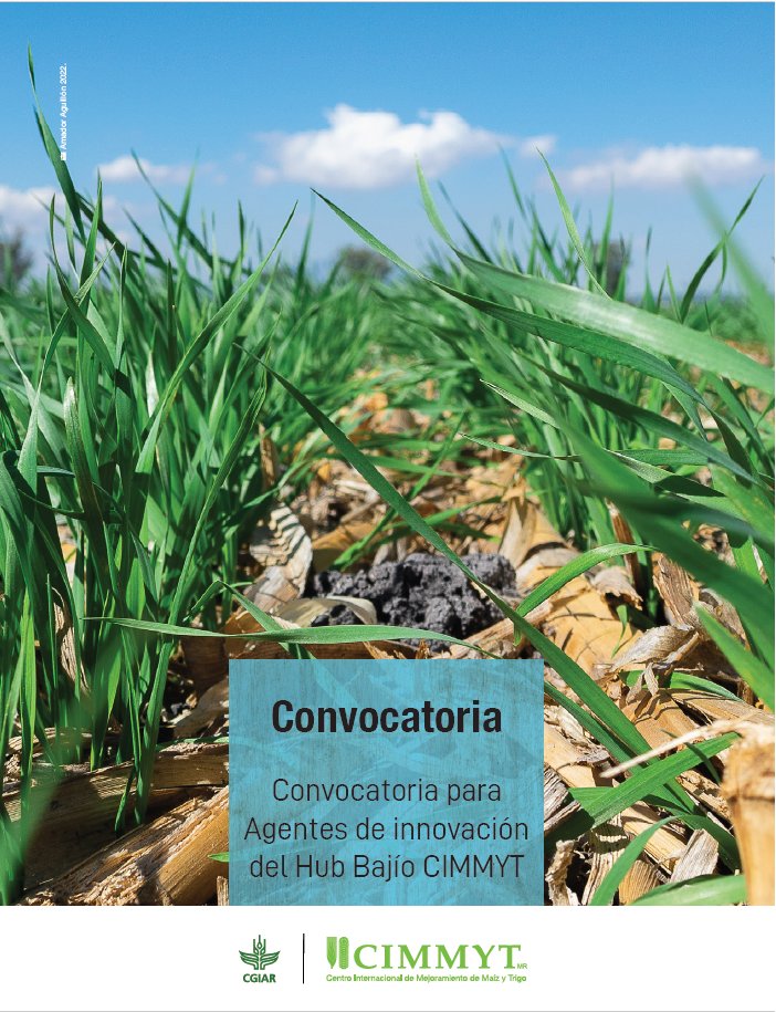 Convocatoria "Agentes de Innovación del Hub Bajío CIMMYT" 🌽

Participa como agente de innovación dentro del modelo de gestión de Hub, brindando asistencia técnica y creando procesos de gestión de innovación con agricultores del Bajío, Méx. ✨

Registro 👇🏽 idp.cimmyt.org/download/convo…