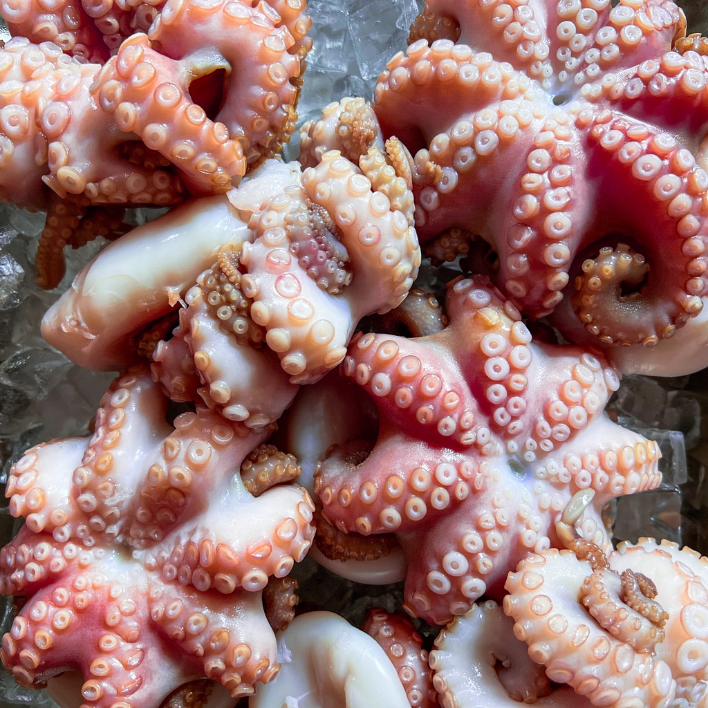 We're constantly searching for the finest Tasmanian produce to bring to our diners

#hardyfamilyoctopus #tasmania #seafood