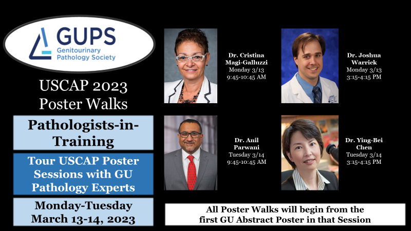 rovingatuscap's tweet photo. GUPS @GU_Path_Society Poster Walks RETURN!!
After piloting this initiative at #USCAP2022 - calling all TRAINEES and friends to join the Monday & Tuesday Poster sessions at #USCAP2023
Fresh set of Poster Walk Leaders & Perspectives #gupath #PathTwitter 👇🏻👇🏻👇🏻 https://t.co/CNYl9XT1xJ