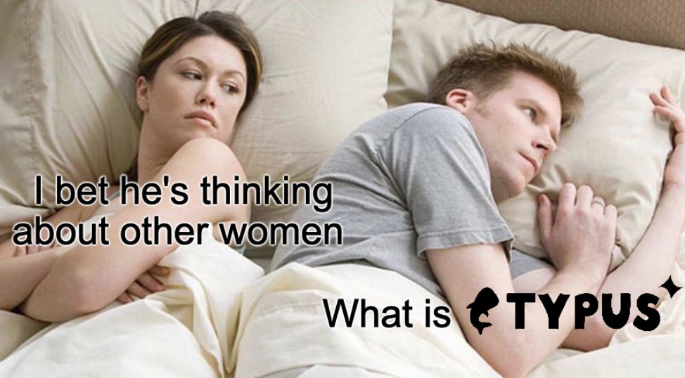 What is Typus?

How we’re building a DeFi infrastructure on <a href="/SuiNetwork/">Sui</a> to scale on-chain liquidity and optimize LPs’ reward over risk

A simplified mini thread 👇
(1/8)