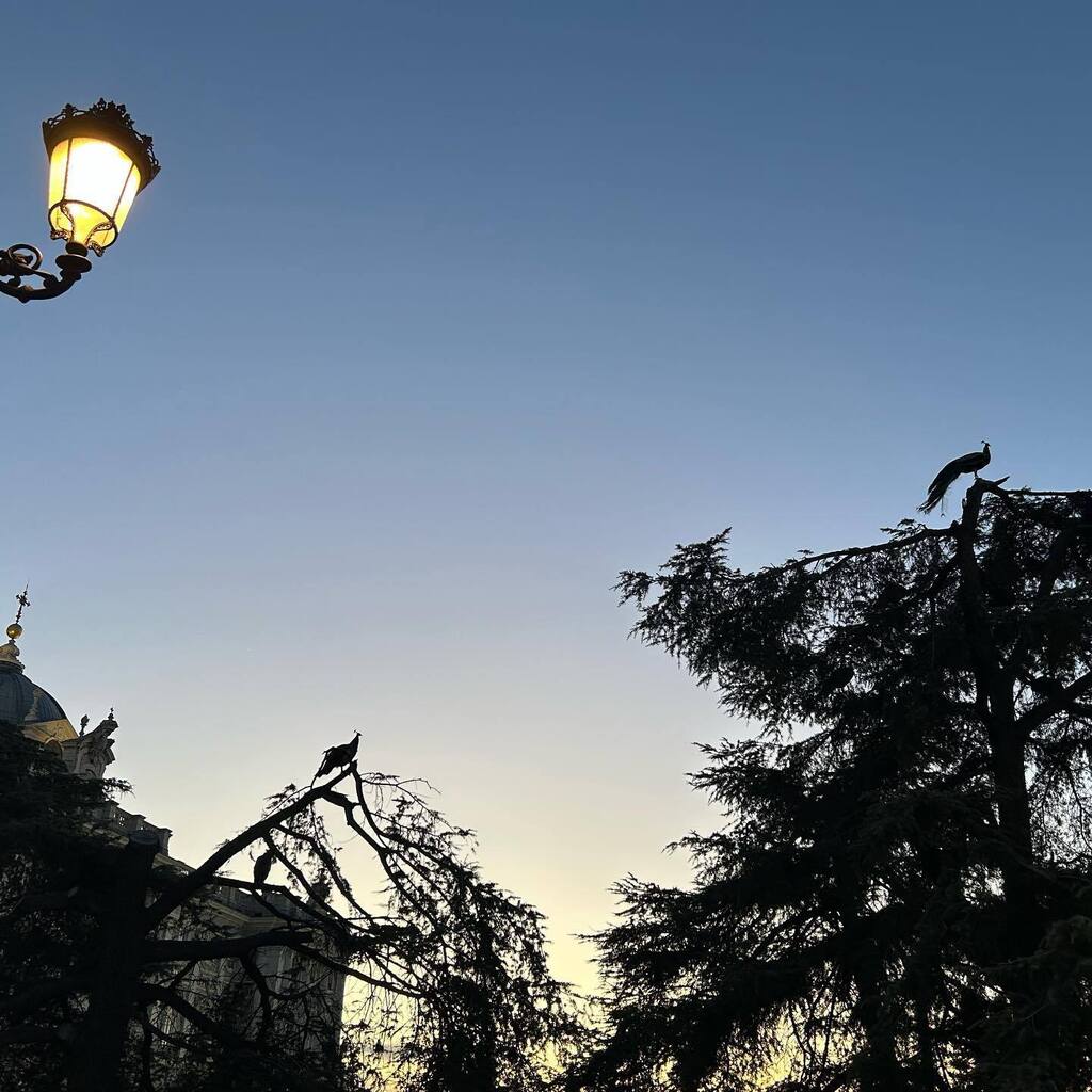 OscarCBosch's tweet photo. ‘There is nothing more important to true growth than realizing that you are not the voice of the mind - you are the one who hears it.’
#MichaelASinger
…
#jungianpsychology #Taoism #taichi #Qigong #yanglongform #musiceducation #nofilter https://t.co/61EhSOCmx7 https://t.co/fnU28slnZH