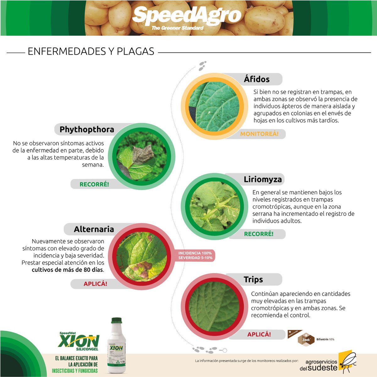 #Reporte semanal de monitoreo y estado de los cultivos de #papa en el #sudeste de la provincia de #BuenosAires
