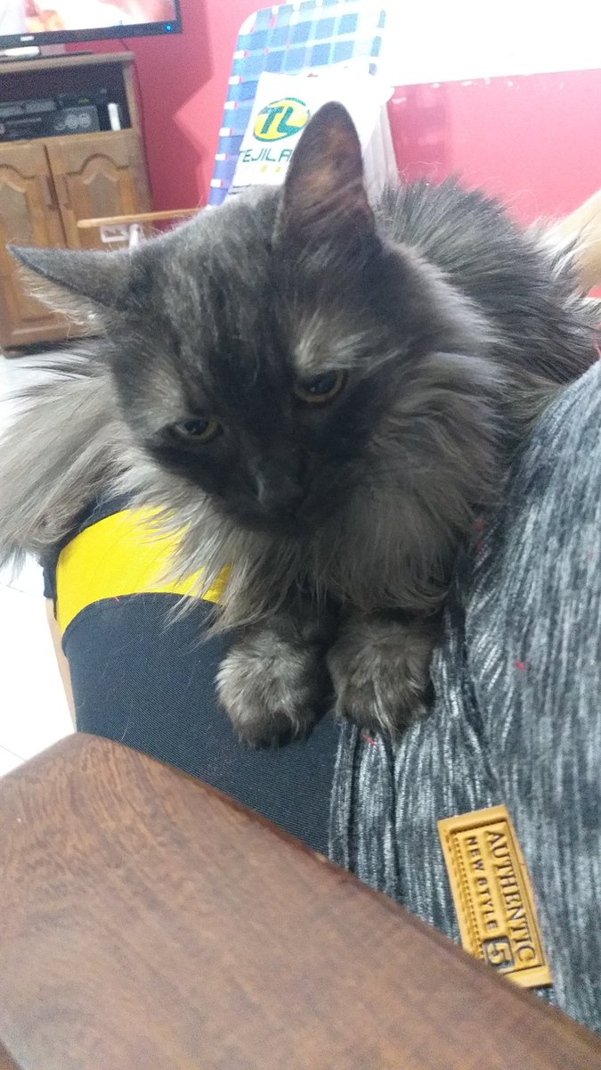Chivy1212's tweet photo. @OkCirujan Mi Muni... unos 13 años con nosotros... 🥰 https://t.co/EZm13FXUPY