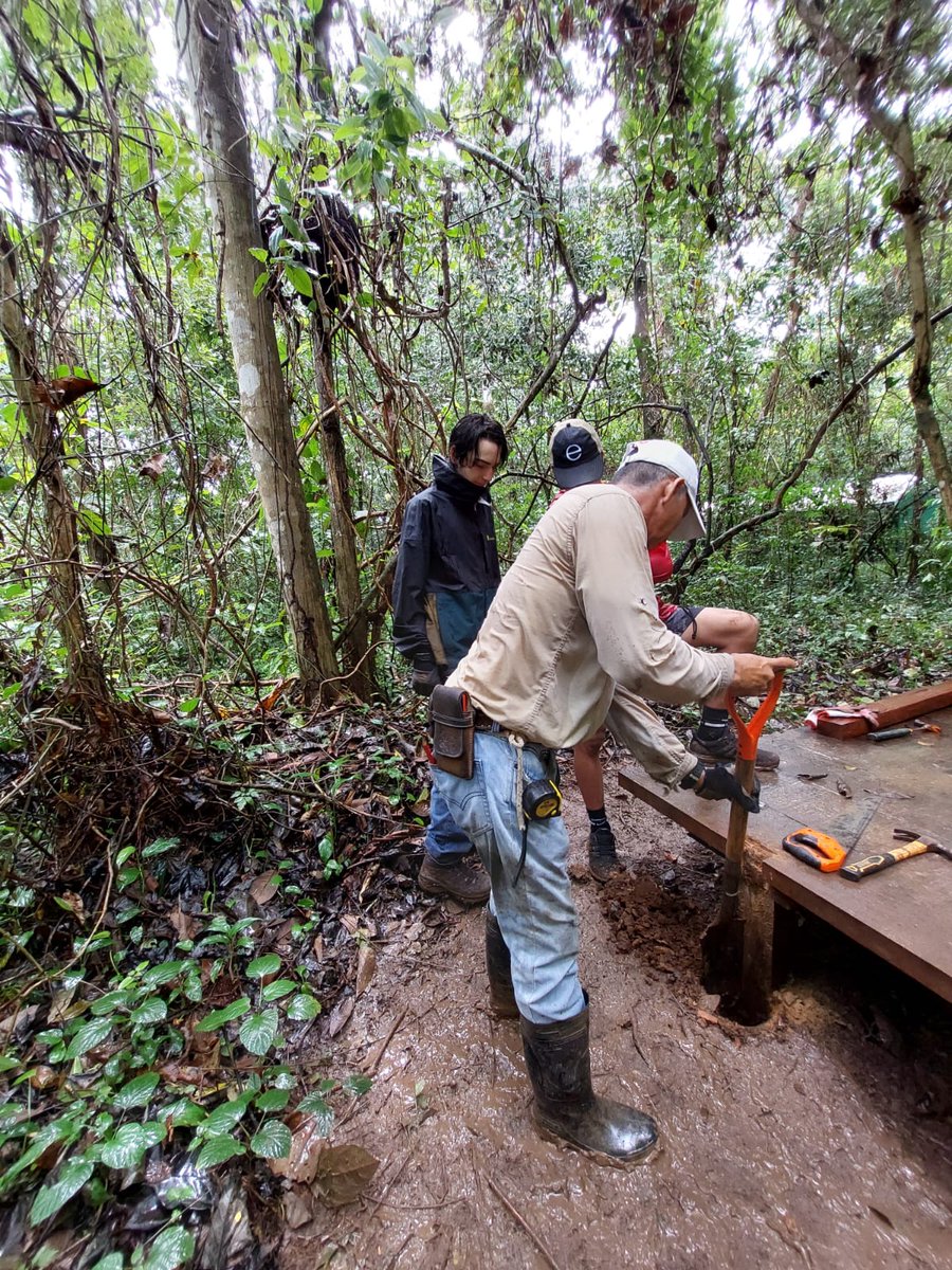 Camp_CostaRica's tweet photo. Great hard work everyone!💪 The team continues working on the trail and began the roof on one of the platforms at #CampCañoNegro.🌳🙌🐾
#CampsEffect #DoSomethingAmazing #PartneringWorldstrides @CampsInt @MedwayHighInfo https://t.co/pqYj0mJGK2