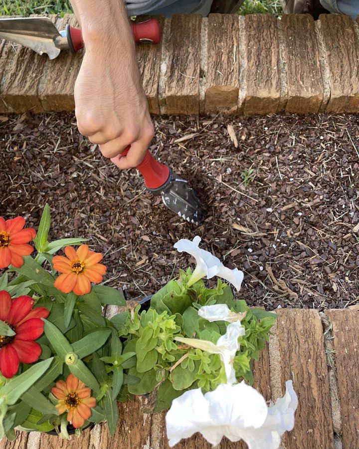 weasel_garden's tweet photo. Dig, cultivate, plant, and weed with ease using the Garden Weasel Comfort Non-Slip Multi-Use Transplanter 🌱🌿

#Garden #GardenWeasel #Spring #Flowers #Dig #Transplanter #plant #planter

https://t.co/MFLzuGISrC https://t.co/OTmjjF60l9