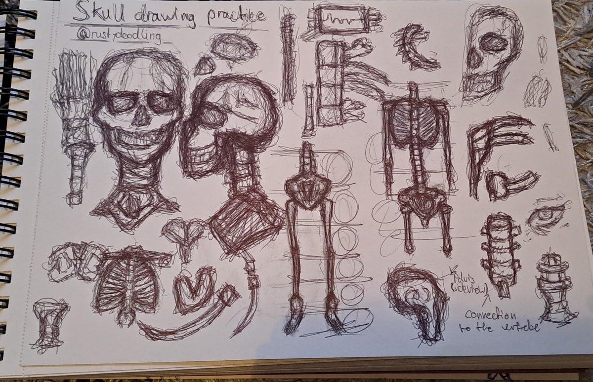 rustyspongey's tweet photo. a lil sketch page i just pulled out of my ass, hope you guys like it :D
#sketch #anatomy #ArtistOnTwitter #art #artist #sketching #skeleton #skull #plsfollowmeiamdesperate #theyareholdingmywholefamilyhostage #theywillkillthem #soineedmoney #definetlynotbait #iswear #stopreading💀 https://t.co/w9mVJ9g3bF