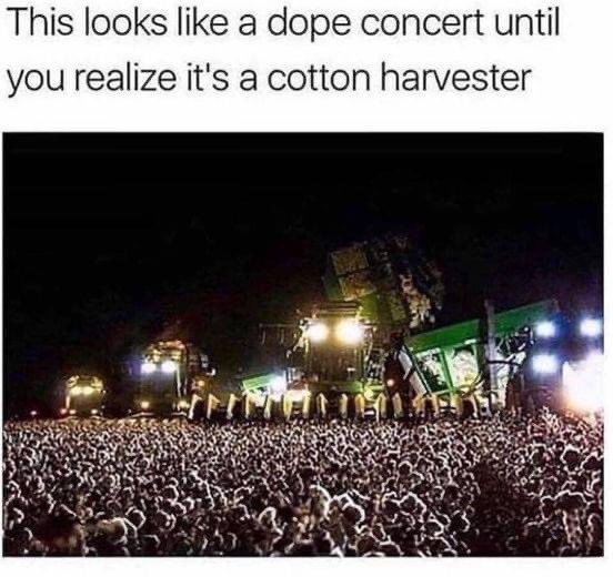 Robin Ruehrwein tweet media